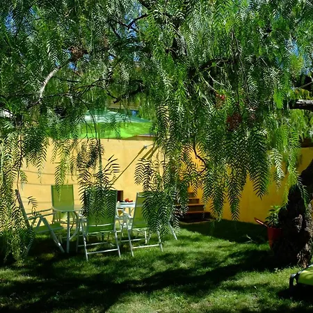 Maison 4/5pers Jardin * Ollioules